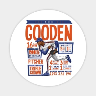 Dwight Gooden New York M Stats Magnet